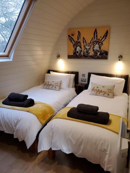 Riding Gate Lodge Charlton Musgrove Екстер'єр фото